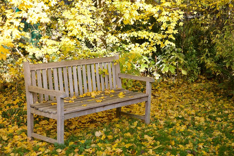 Autumn imby