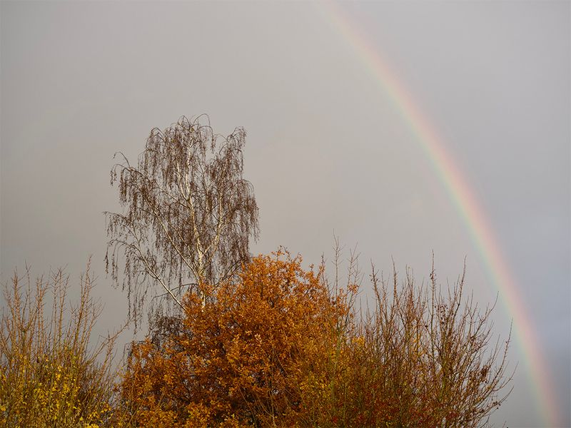 Rainbow