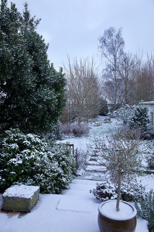 Winter imby