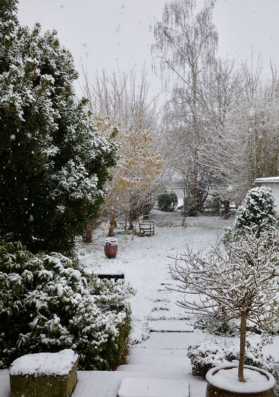 Snow