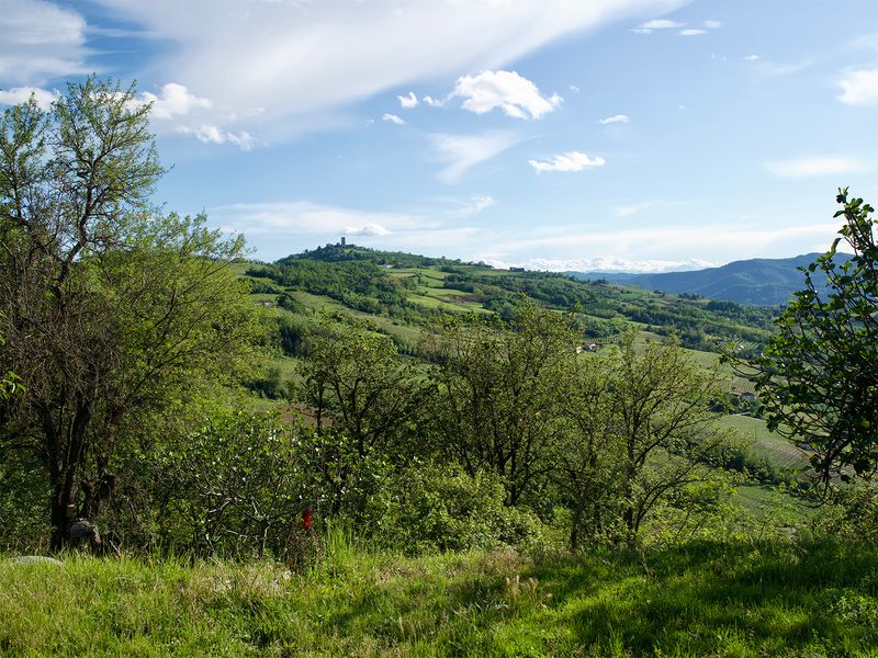 Le Langhe