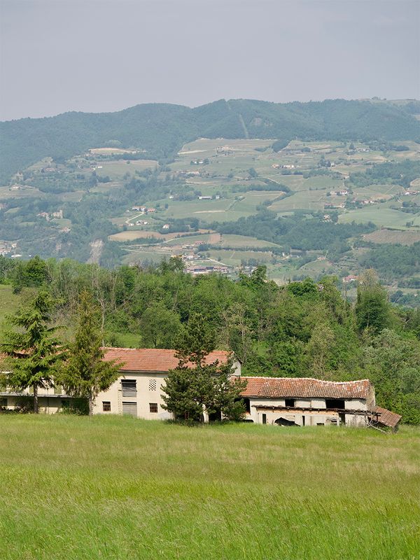 Le Langhe