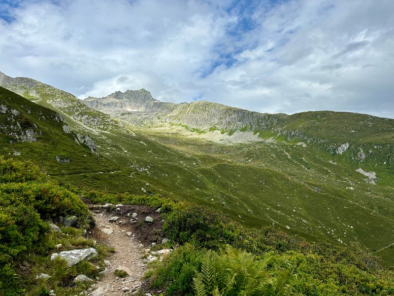 Disentis