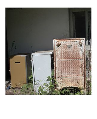 g13/39/487539/3/174634216.ec8d5b6b.JPEG