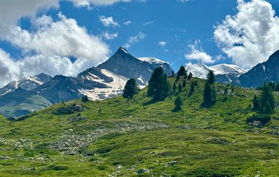 Passo Bernina
