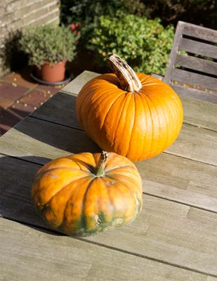 October 2024