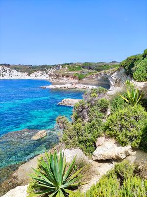 Malta