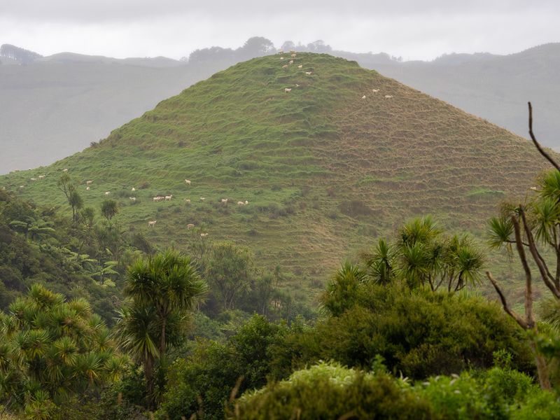 cinder cone