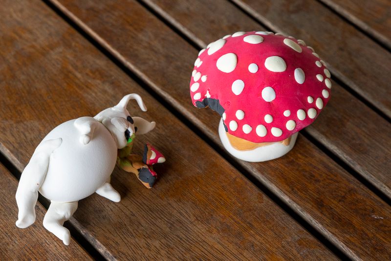 Mushroom poisoned