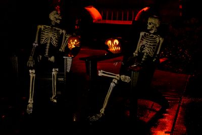 skeleton couple