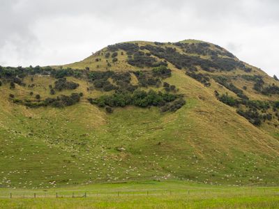 between okahune and Taupo