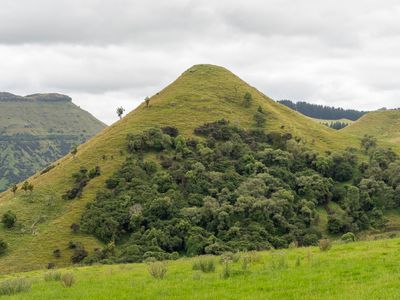 green cone