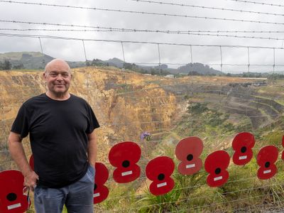 poppies in remembrance of WW1