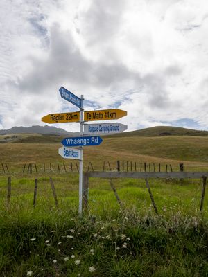 Te Mata 14 km