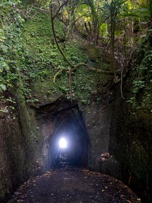 Old stock tunnel