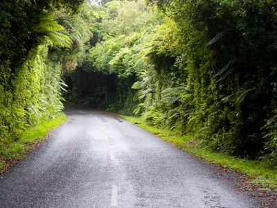 Bush tunnel