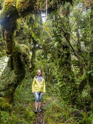 Hiking on Mt. Egmonts slopes