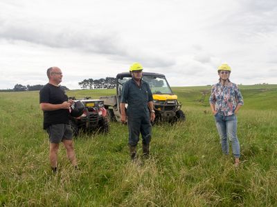 Surveying the pastures