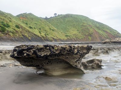 a tidal rock