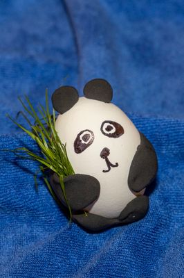 Panda egg