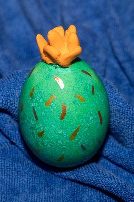 cactus egg