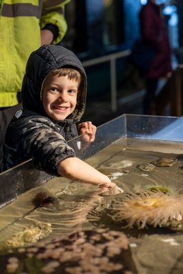 Hands-on pool