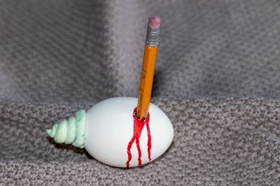 stabbed by pencil egg
