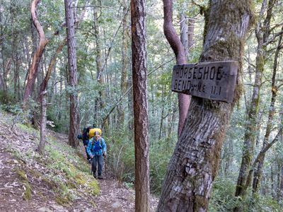 on the trail