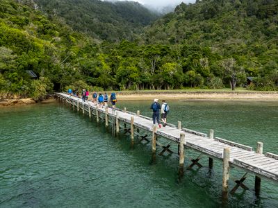 Ship's Cove pier