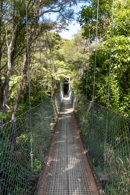 Hanging bridges make it easy