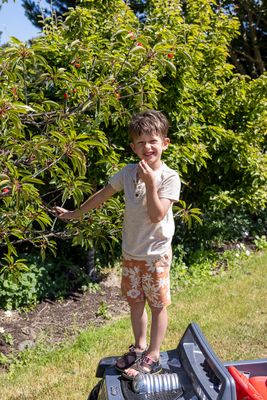 Cherry picker Charles