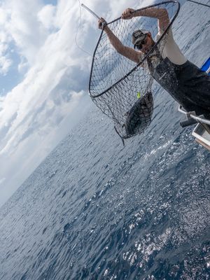 Deck hand works the net