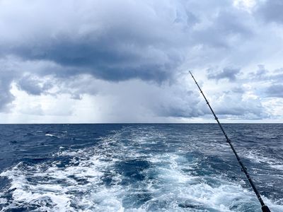Trolling for the next tuna