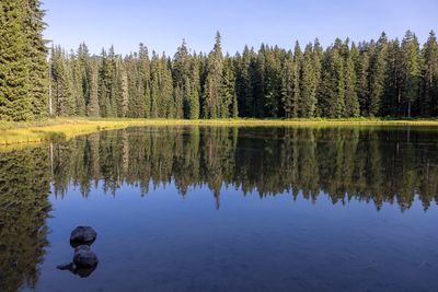 Placid Lake