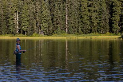 Kyle afishin
