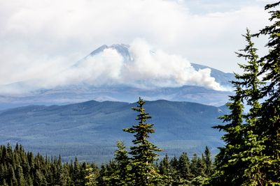 Mt. Adams fire