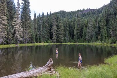 Cool-off in a forest lake
