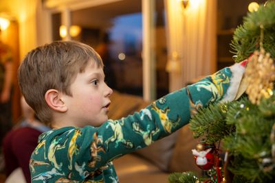 Tree decorator