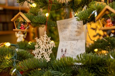 Our favorite tree decorations