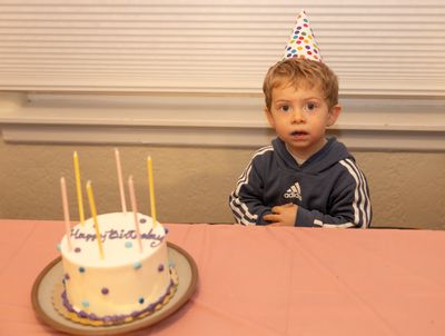 Moosh is ready for cake