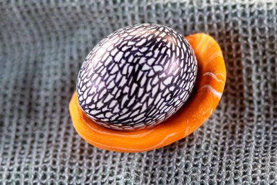 Jack fruit egg