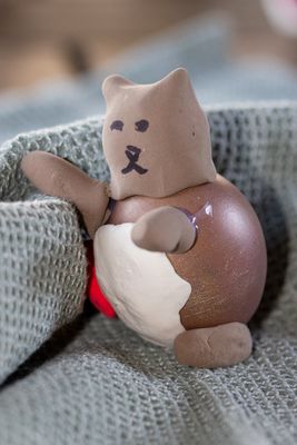 Pregnant cat egg