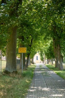 Road to the Wedding Church