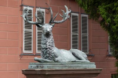 Stag sculpture