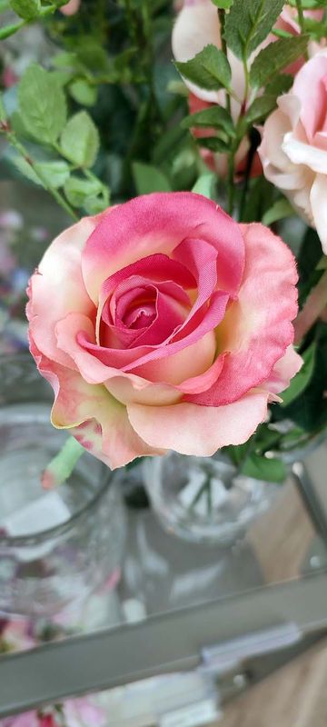 IMG_20220611_143812.jpg