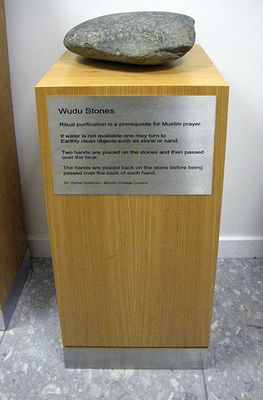 IMGP4000.jpg