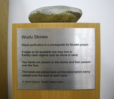 IMGP4001.jpg