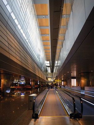 IMGP4111.jpg