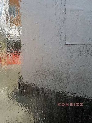 20210810_134326  Invisible Life.jpg