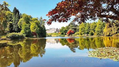 Glorious Reflection.jpg